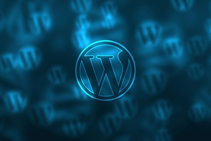 Why WordPress is Easy to Customize